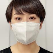 AOK　PG　MASK（高品質一般防護マスク）50枚入｜150ポイント付